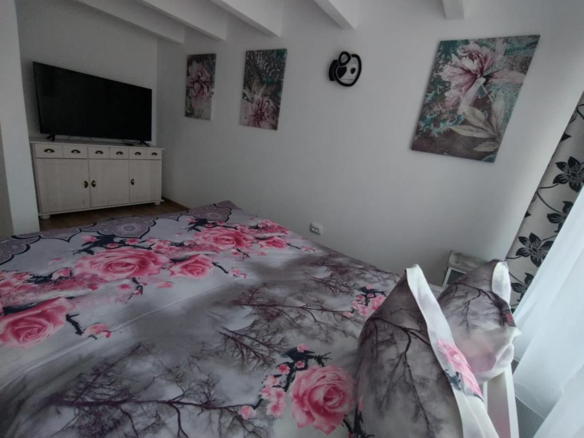 Apartament Alyosha 시기쇼아라 외부 사진
